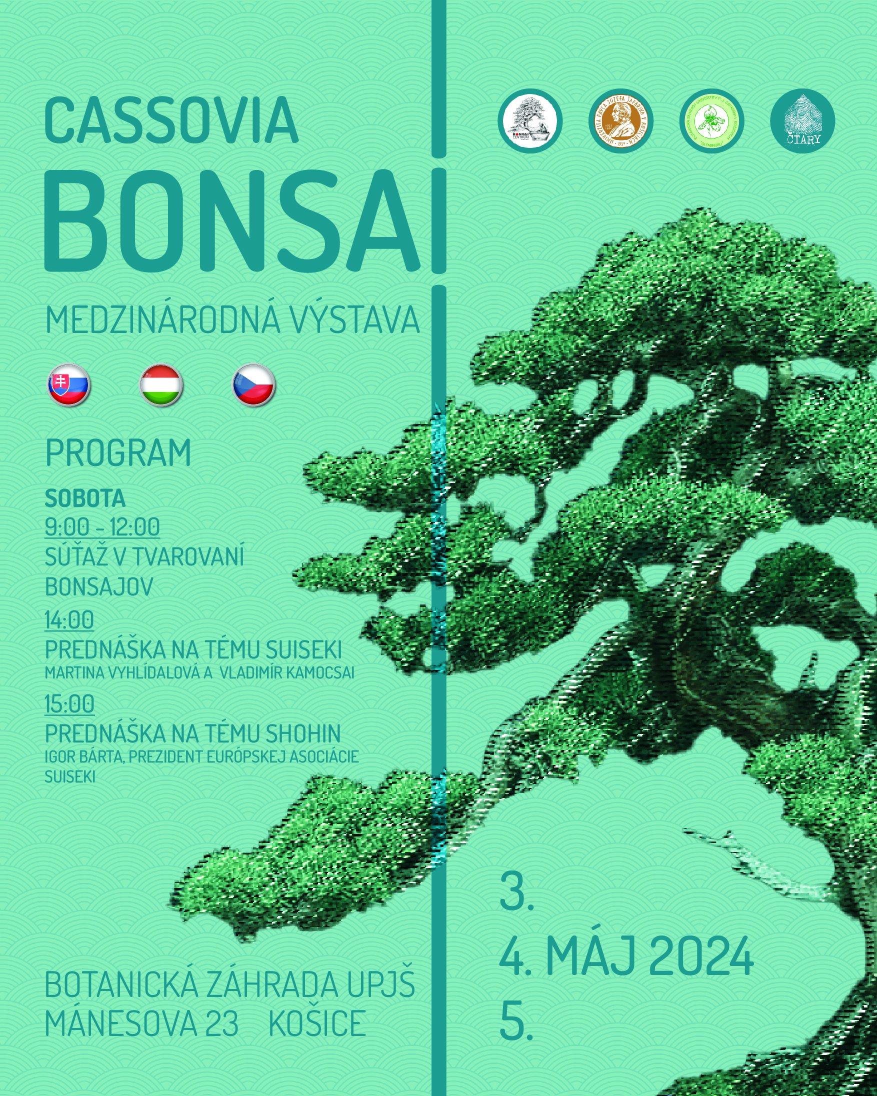 cassovia bonsai 2024